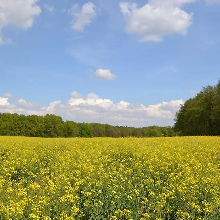 Zauber Der Pfalz 아파트